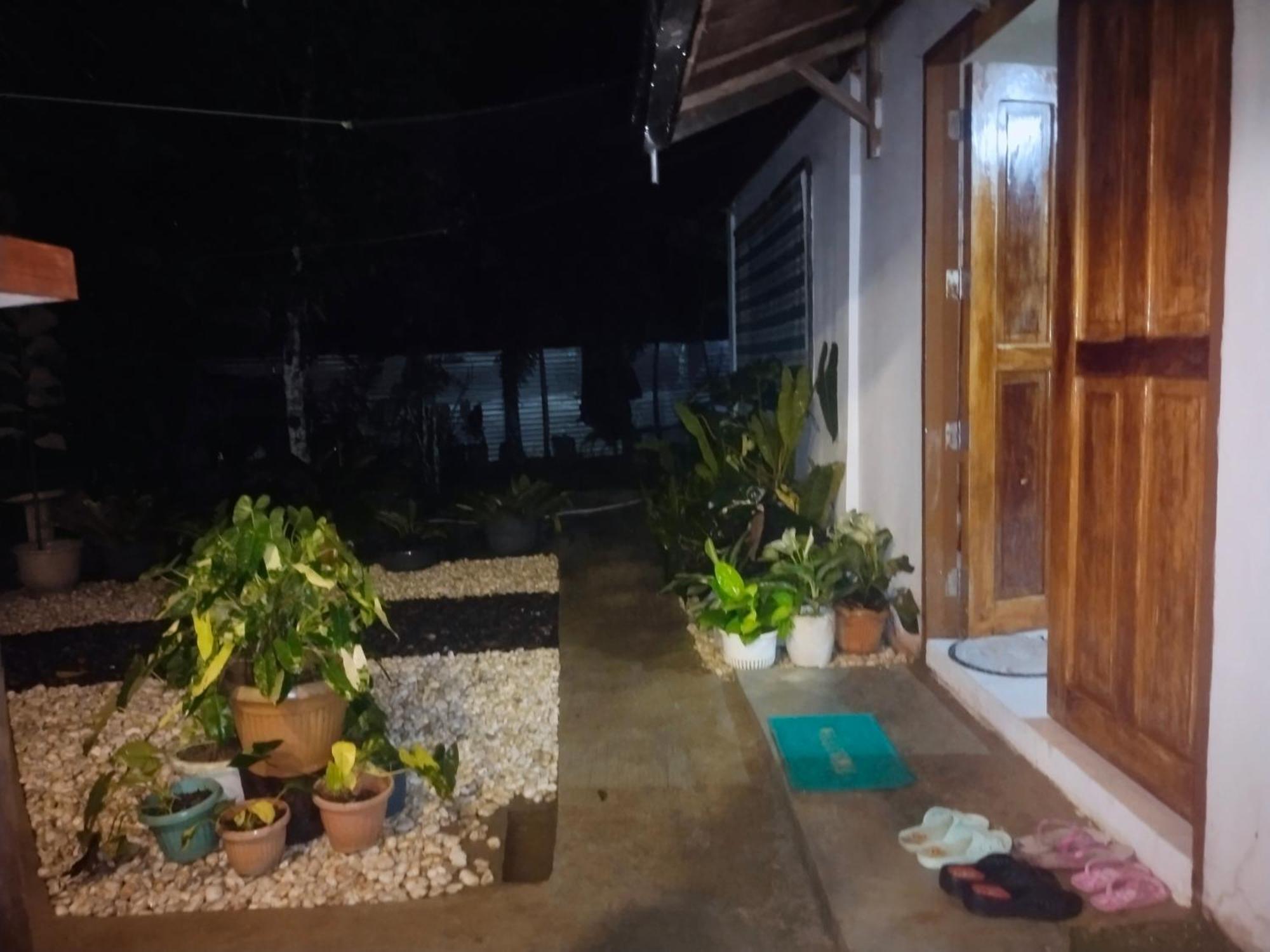 Ziah'S Guest House San Vicente  Dış mekan fotoğraf